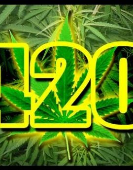 420 Yellow Border